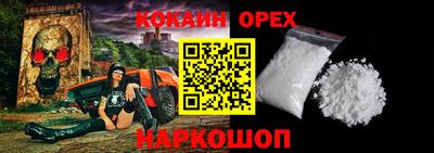 крисы Кунгур