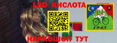 крисы Кунгур