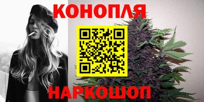 крисы Кунгур
