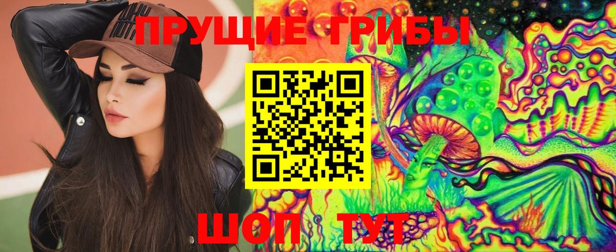 Галлюциногенные грибы Psilocybe  Псилоцибиновые грибы Psilocybe  Черняховск  Вход с VPN 