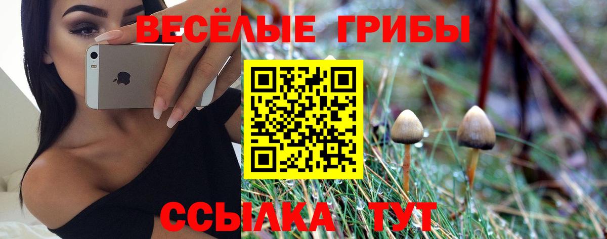 Галлюциногенные грибы прущие грибы Черняховск