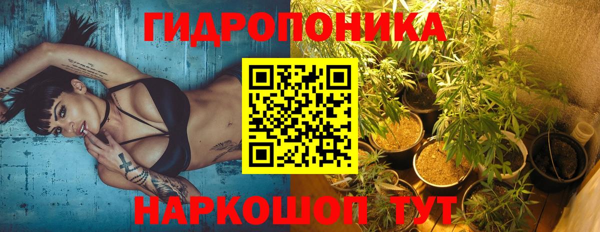 Канабис конопля  Бошки Шишки THC 21%  Вход с VPN  Каннабис Ganja  Черняховск 